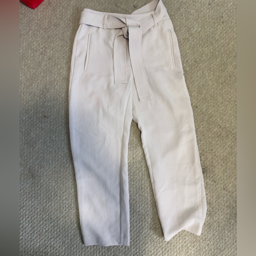 Aritzia work pants